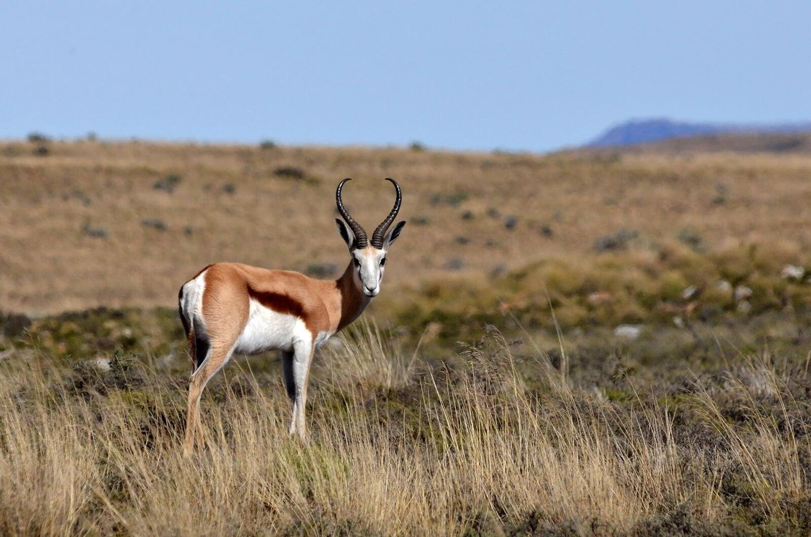  Back Roads to Nowhere: Join us on an outstanding photographic tour in the Karoo