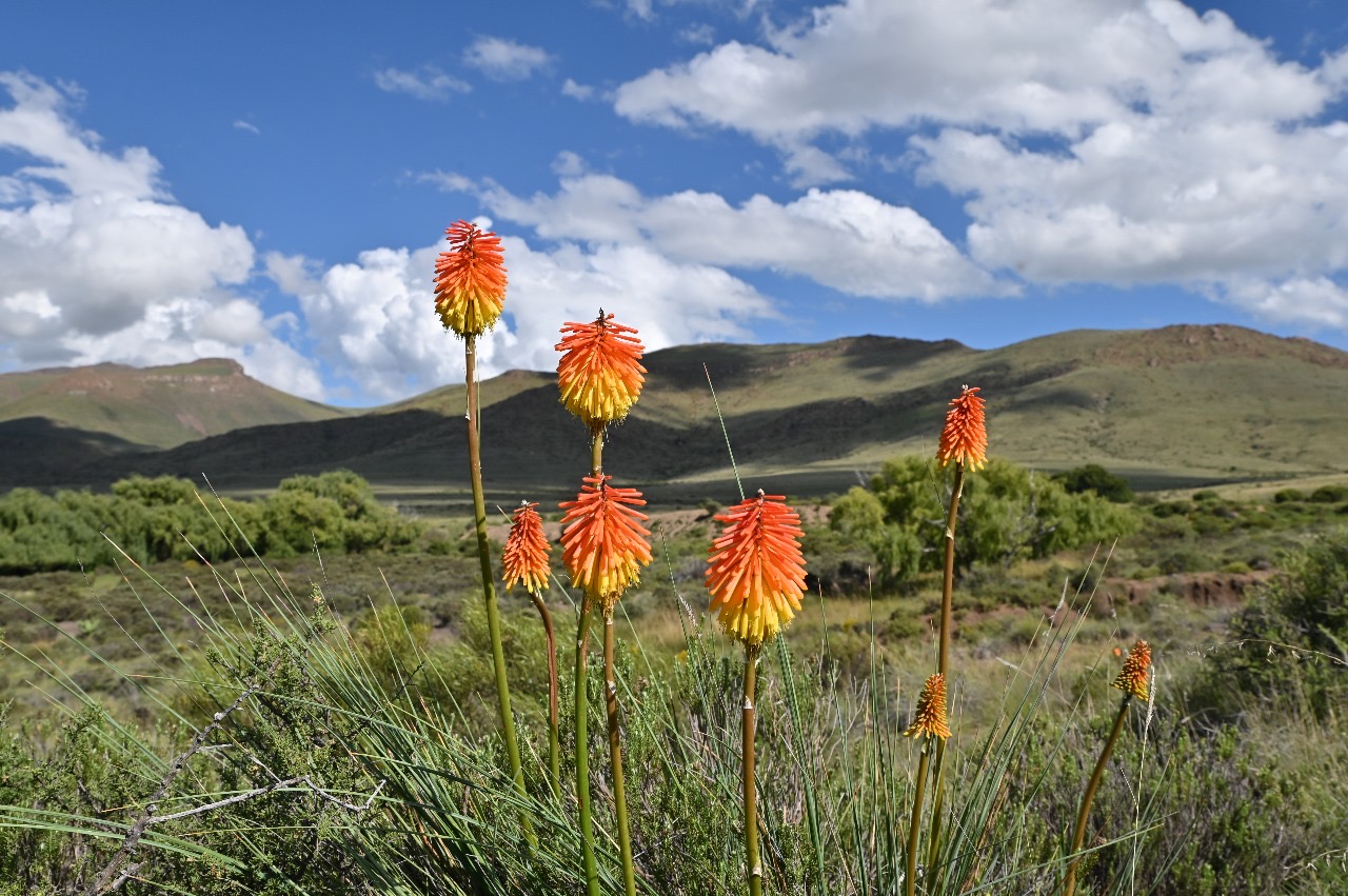 Gustav en Sané van Heerden